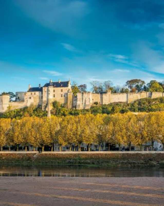 chinon